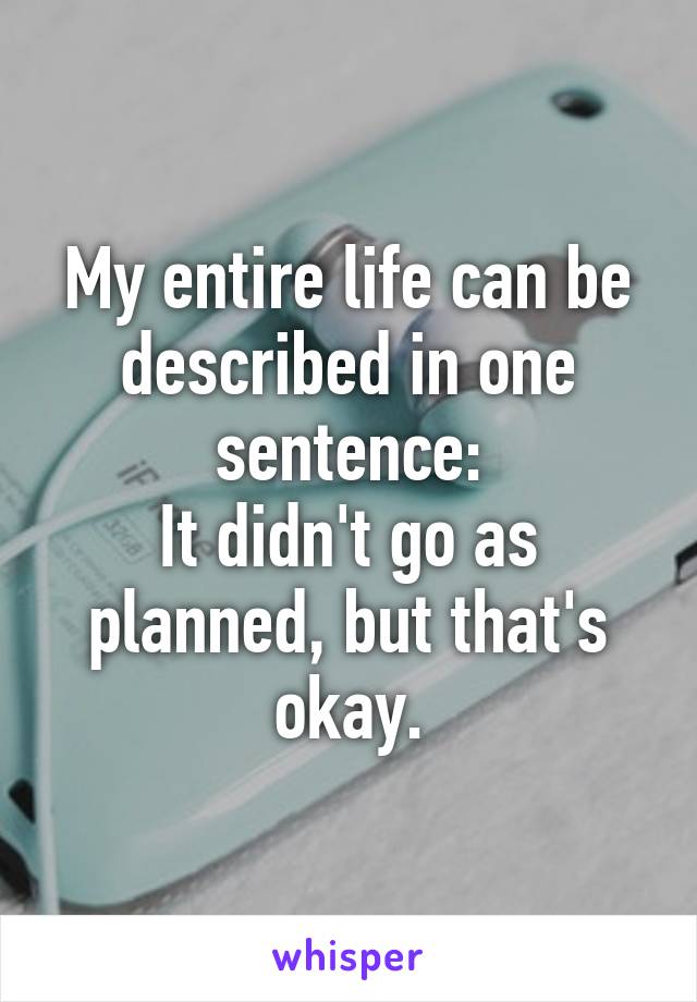 My entire life can be described in one sentence:
It didn't go as planned, but that's okay.