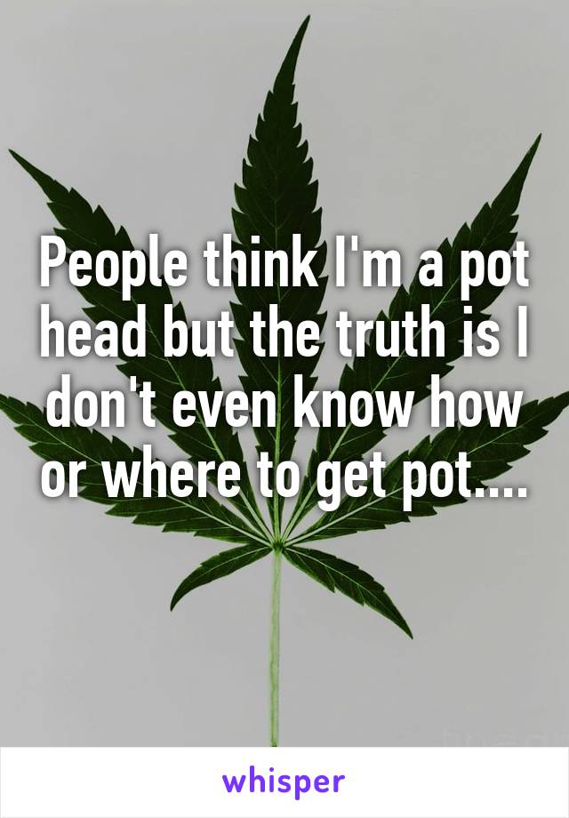 People think I'm a pot head but the truth is I don't even know how or where to get pot.... 