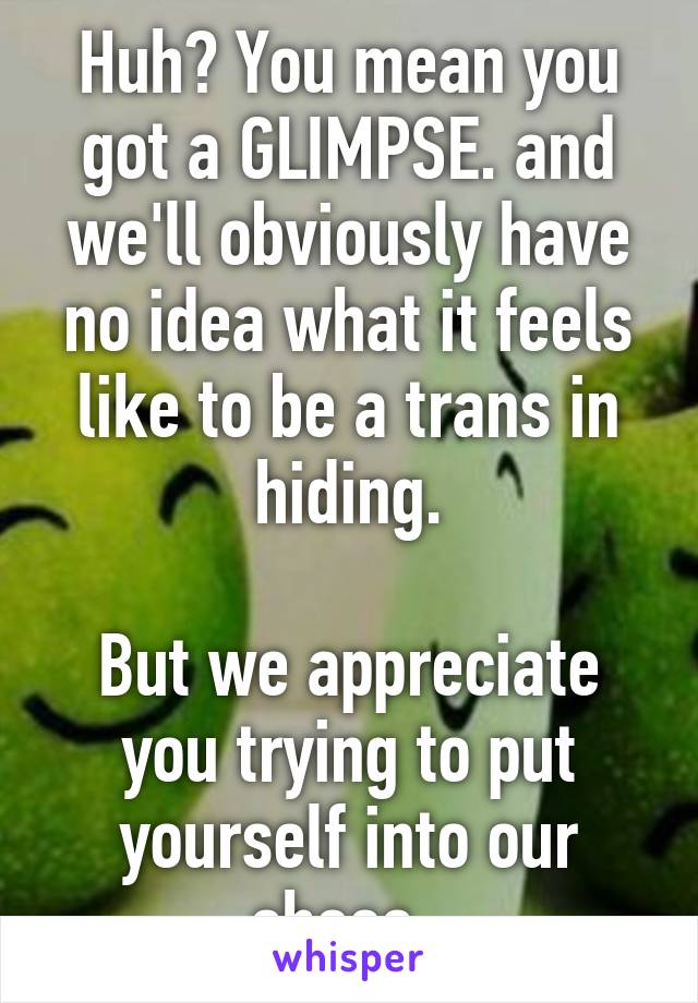 Huh? You mean you got a GLIMPSE. and we'll obviously have no idea what it feels like to be a trans in hiding.

But we appreciate you trying to put yourself into our shoes..