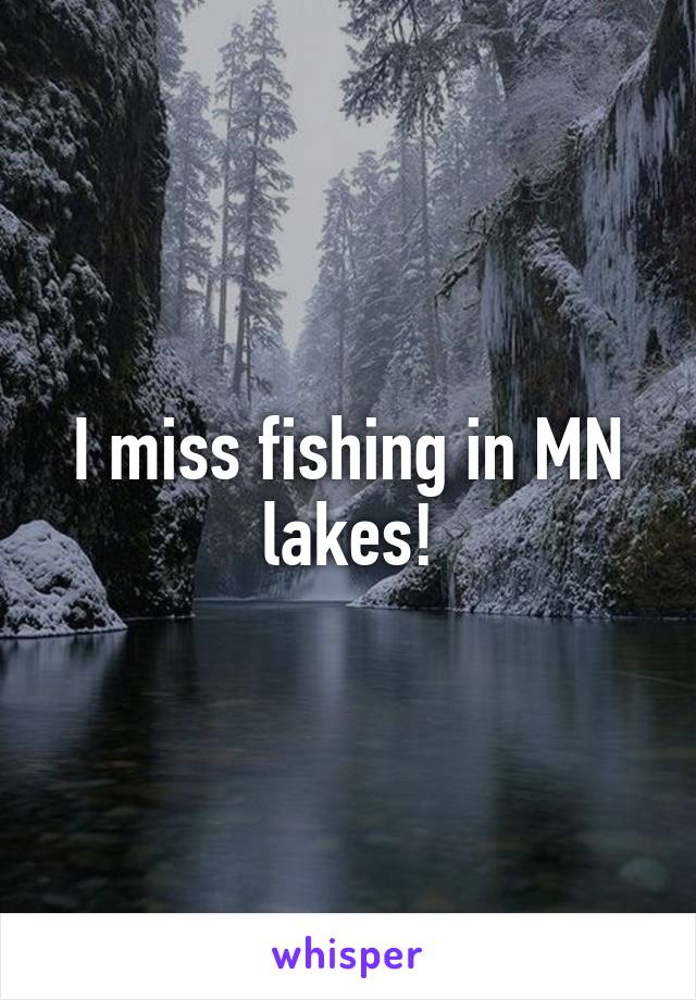 I miss fishing in MN lakes!