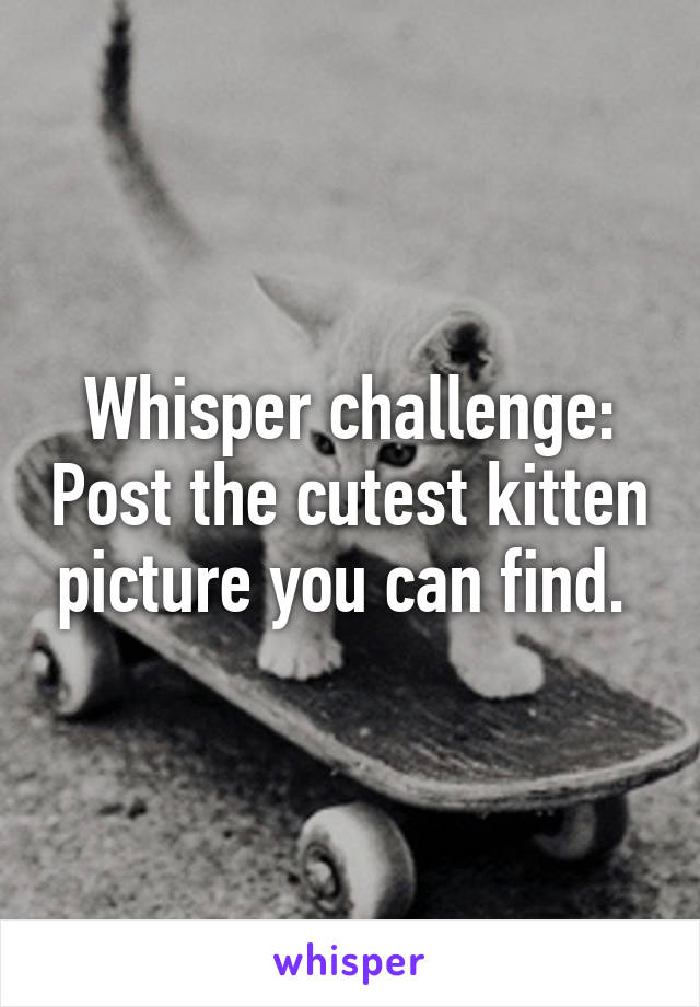 Whisper challenge: Post the cutest kitten picture you can find. 