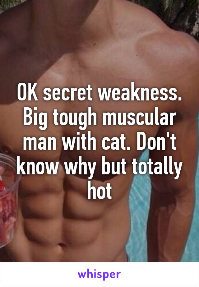 OK secret weakness. Big tough muscular man with cat. Don't know why but totally hot