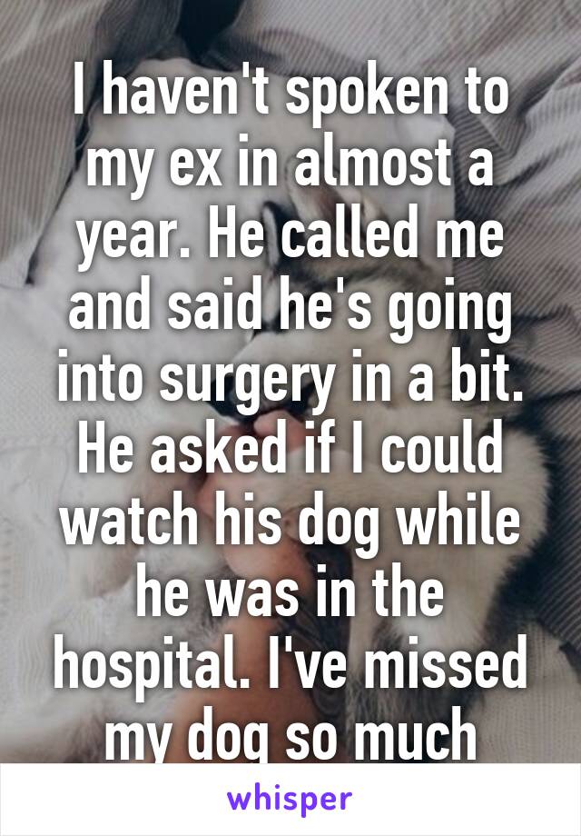 I haven't spoken to my ex in almost a year. He called me and said he's going into surgery in a bit.
He asked if I could watch his dog while he was in the hospital. I've missed my dog so much