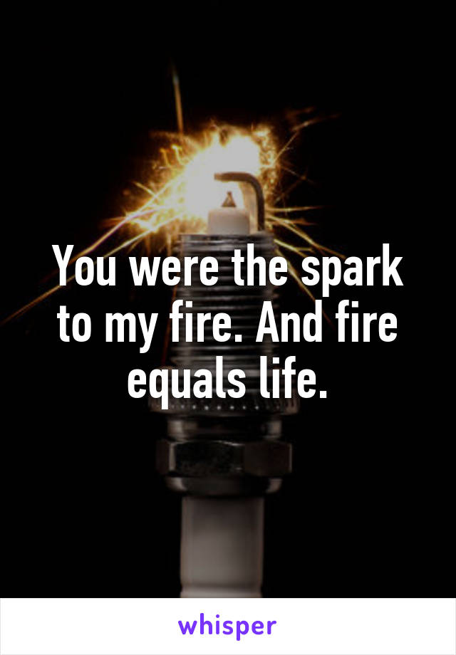 You were the spark to my fire. And fire equals life.