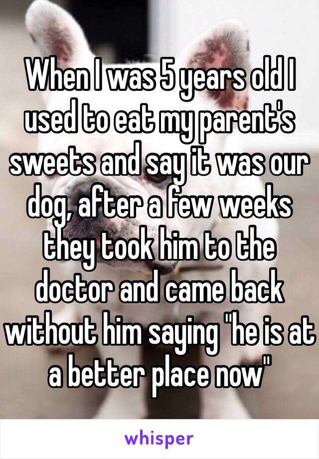 When I was 5 years old I used to eat my parent's sweets and say it was our dog, after a few weeks they took him to the doctor and came back without him saying "he is at a better place now" 