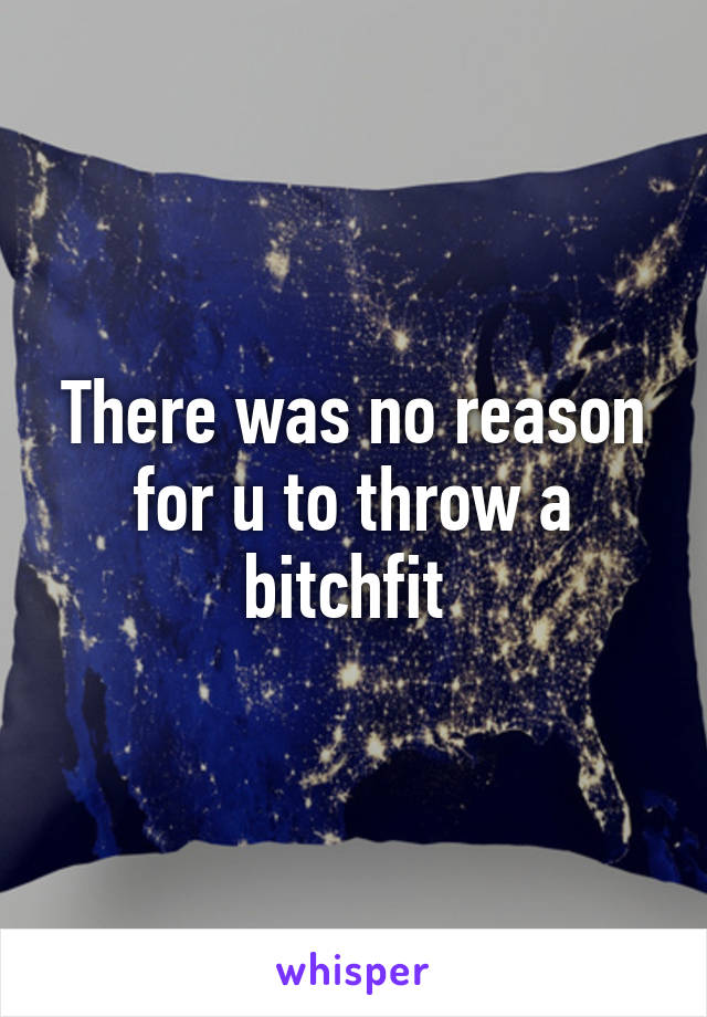 There was no reason for u to throw a bitchfit 