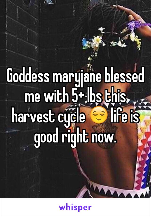 Goddess maryjane blessed me with 5+ lbs this harvest cycle 😌 life is good right now.