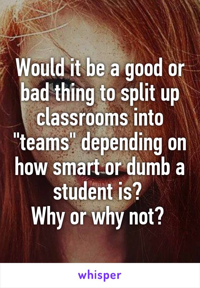 Would it be a good or bad thing to split up classrooms into "teams" depending on how smart or dumb a student is? 
Why or why not? 