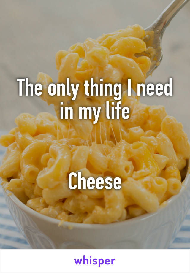 The only thing I need in my life


Cheese