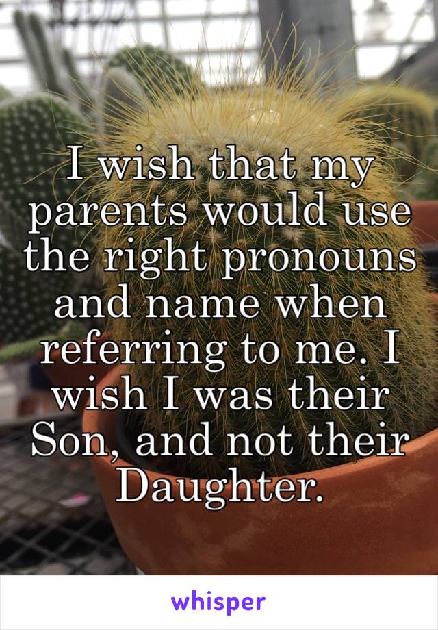 I wish that my parents would use the right pronouns and name when referring to me. I wish I was their Son, and not their Daughter.