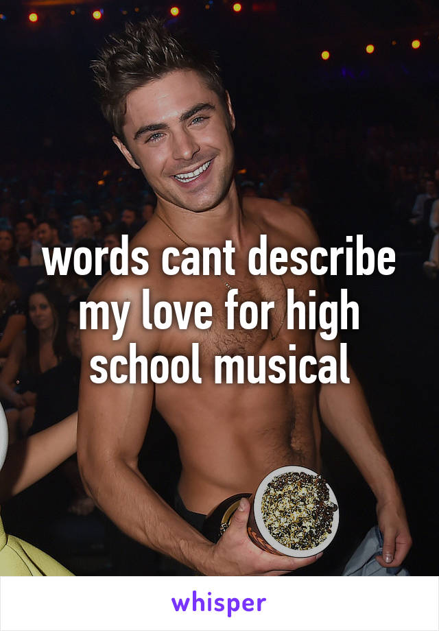 words cant describe my love for high school musical