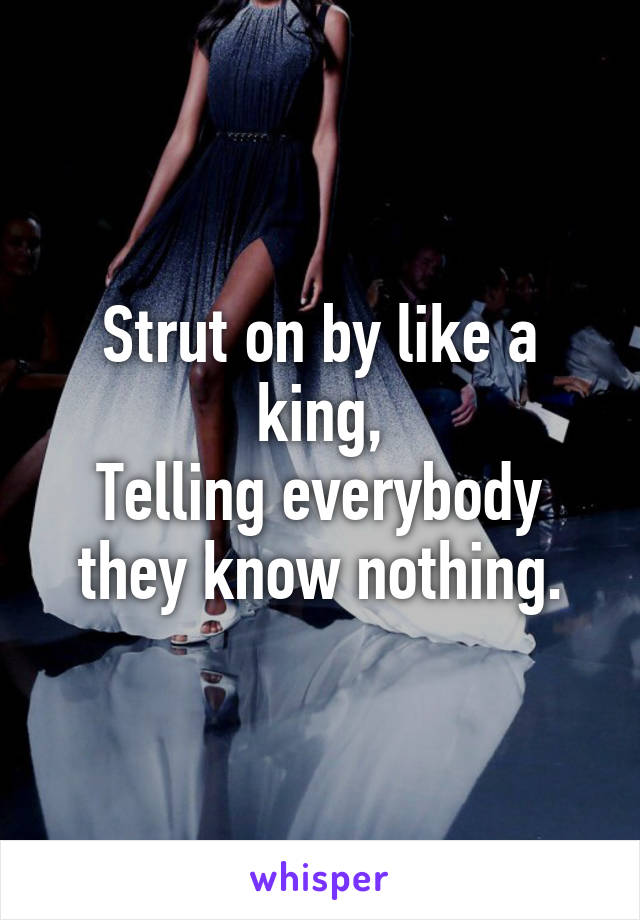 Strut on by like a king,
Telling everybody they know nothing.