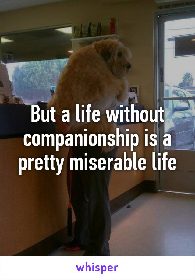 But a life without companionship is a pretty miserable life