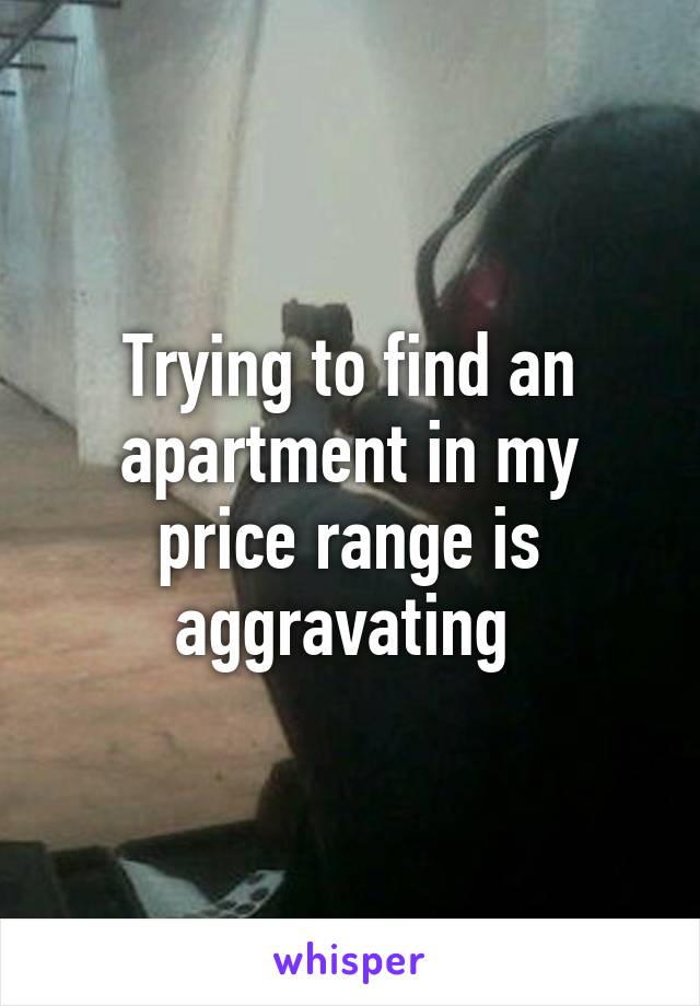 Trying to find an apartment in my price range is aggravating 