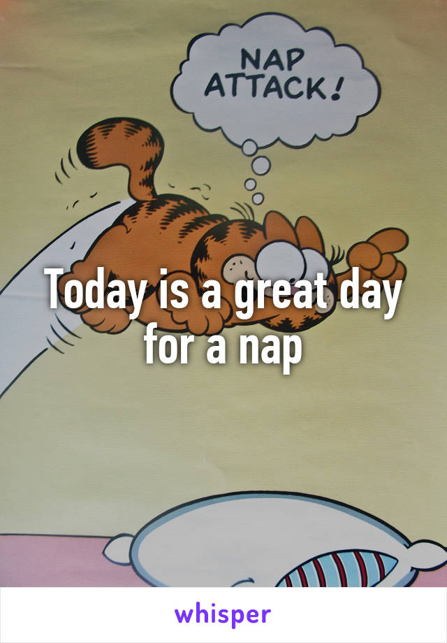 Today is a great day for a nap