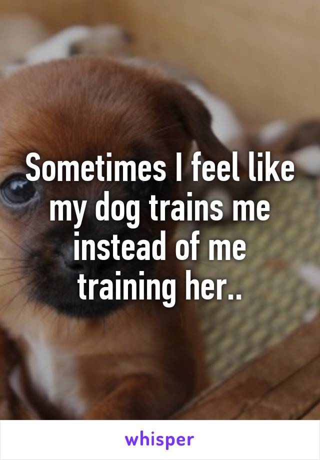 Sometimes I feel like my dog trains me instead of me training her..