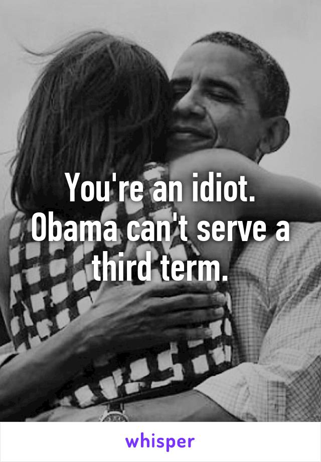 You're an idiot. Obama can't serve a third term.