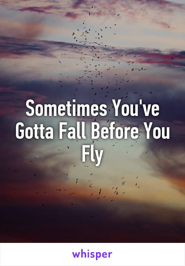 Sometimes You've Gotta Fall Before You Fly