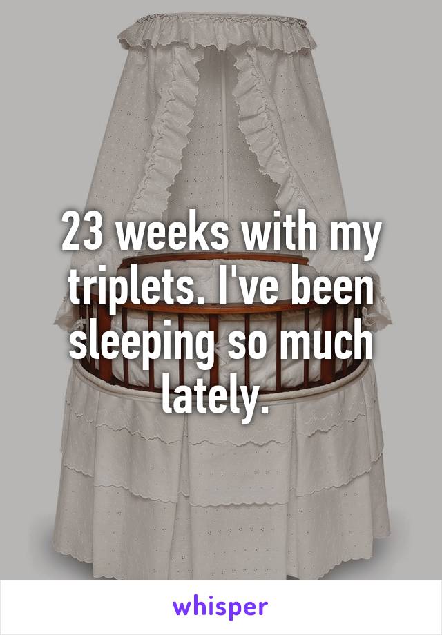 23 weeks with my triplets. I've been sleeping so much lately. 