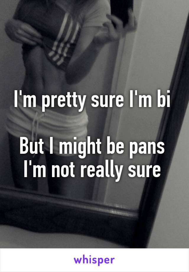 I'm pretty sure I'm bi 

But I might be pans 
I'm not really sure 