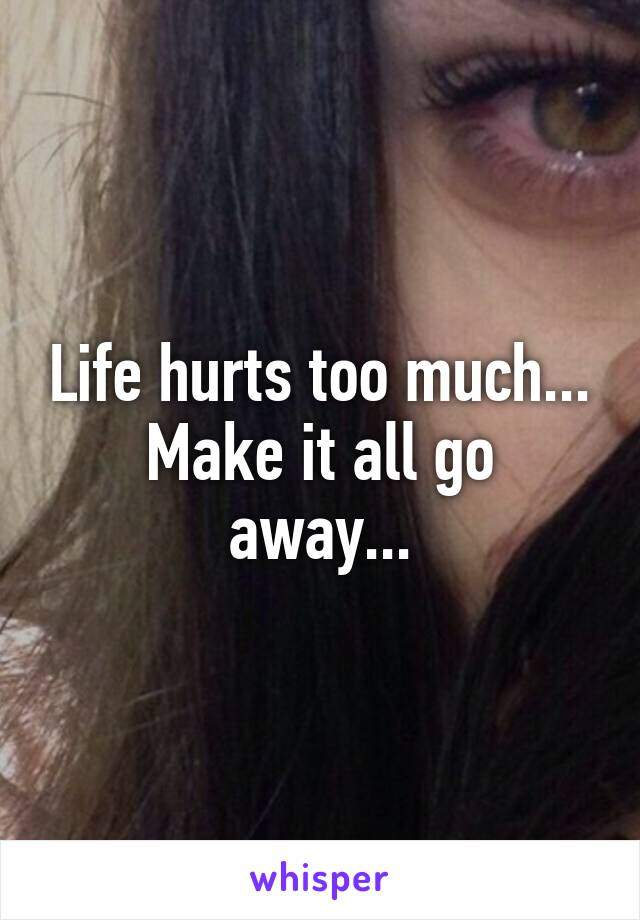 Life hurts too much...
Make it all go away...