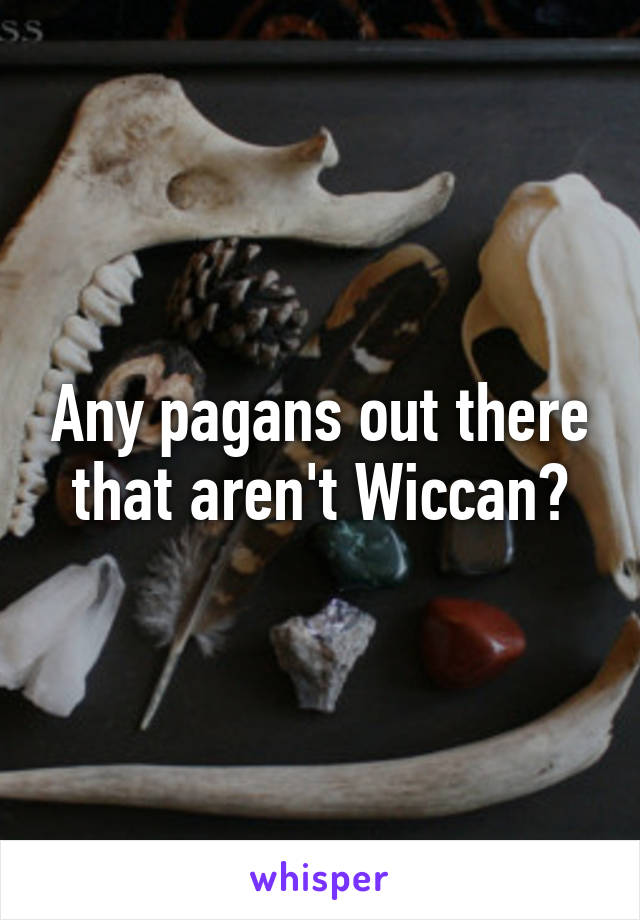 Any pagans out there that aren't Wiccan?