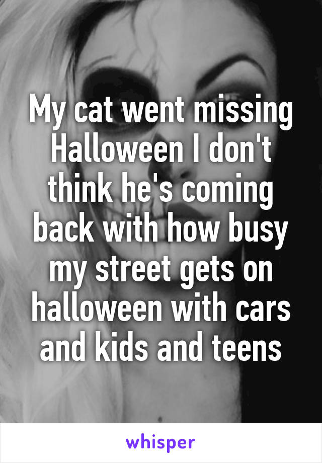 My cat went missing Halloween I don't think he's coming back with how busy my street gets on halloween with cars and kids and teens