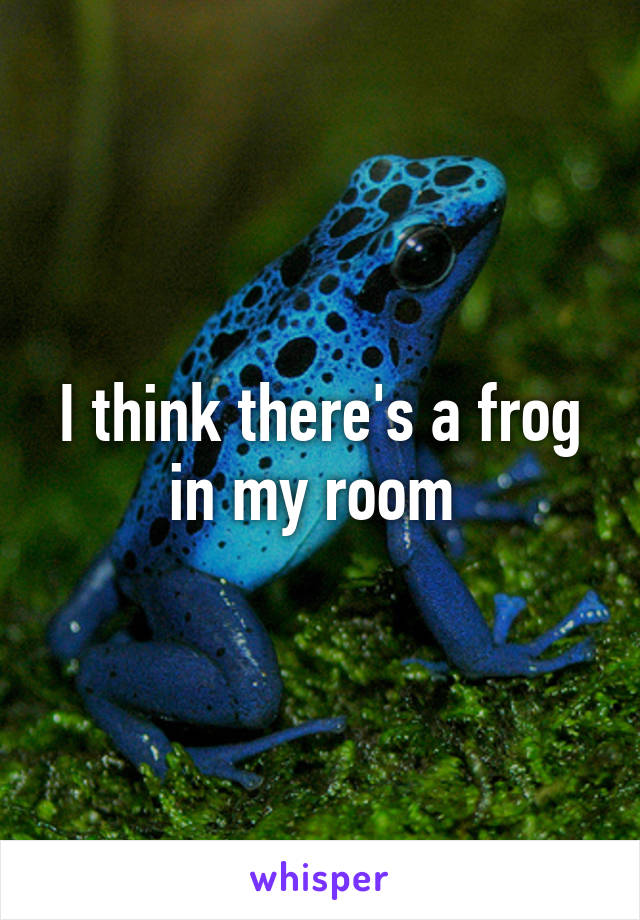 I think there's a frog in my room 