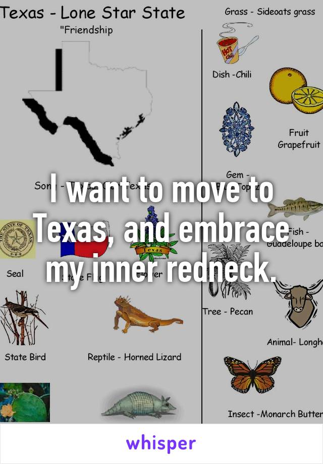 I want to move to Texas, and embrace my inner redneck.