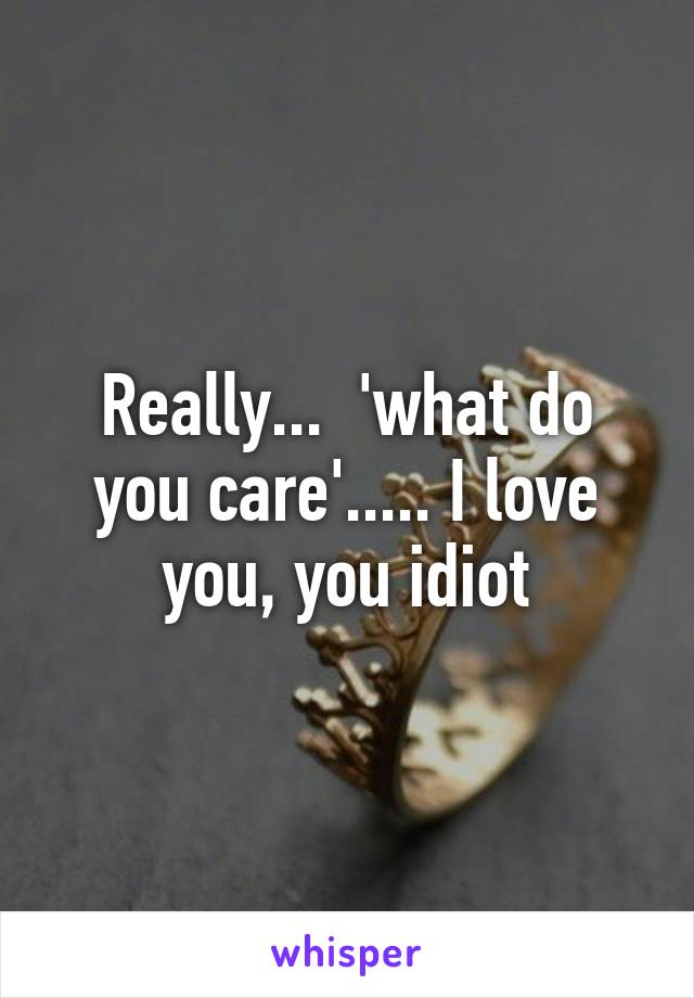 Really...  'what do you care'..... I love you, you idiot