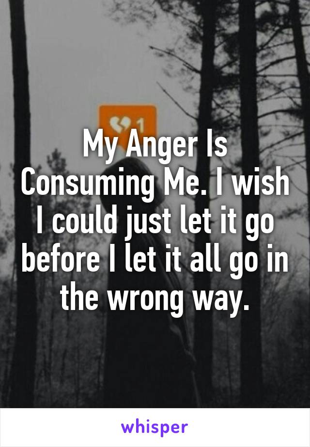 My Anger Is Consuming Me. I wish I could just let it go before I let it all go in the wrong way.