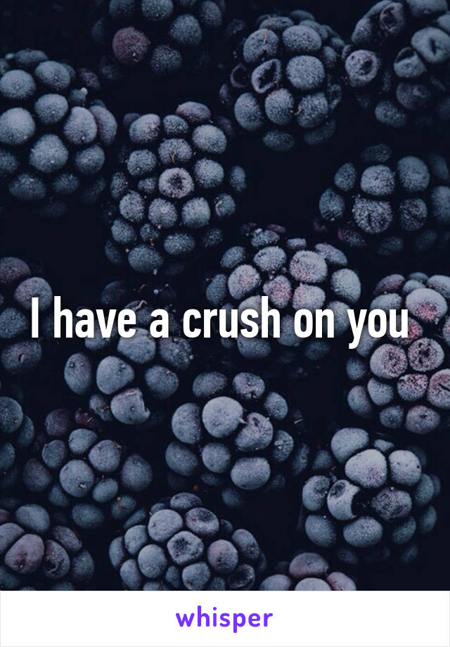 I have a crush on you 