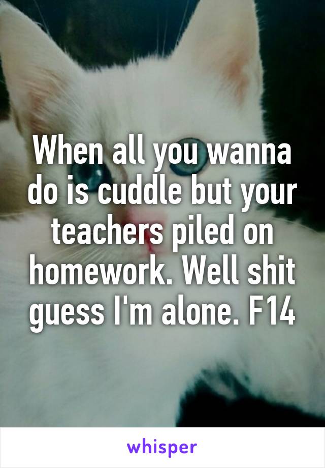 When all you wanna do is cuddle but your teachers piled on homework. Well shit guess I'm alone. F14