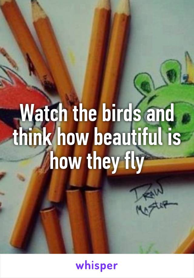 Watch the birds and think how beautiful is how they fly