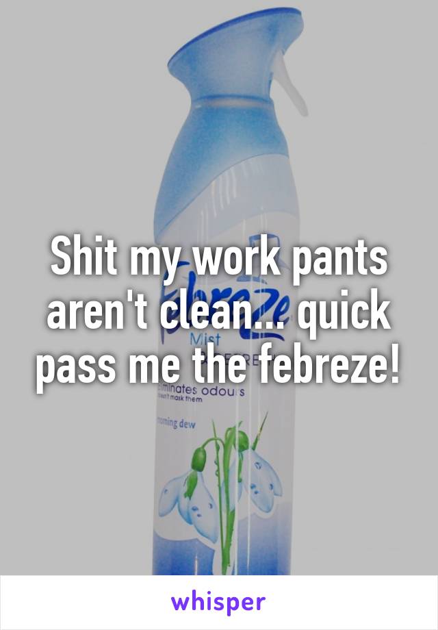 Shit my work pants aren't clean... quick pass me the febreze!