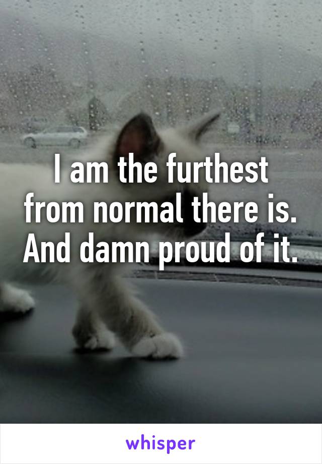 I am the furthest from normal there is. And damn proud of it. 