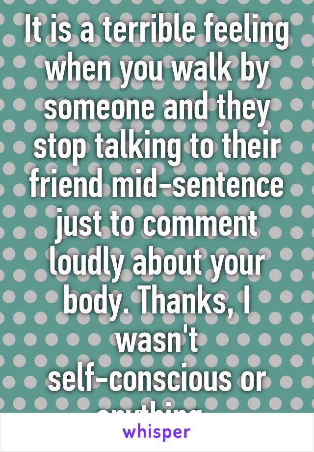 It is a terrible feeling when you walk by someone and they stop talking to their friend mid-sentence just to comment loudly about your body. Thanks, I wasn't self-conscious or anything. 