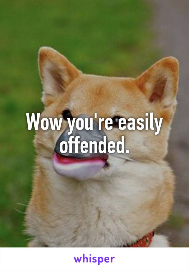 Wow you're easily offended.