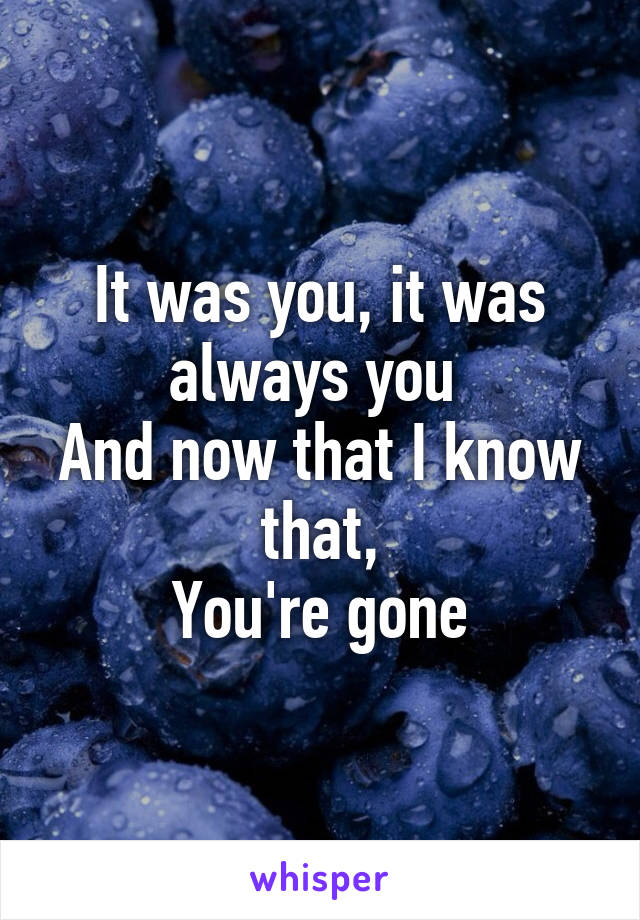 It was you, it was always you 
And now that I know that,
You're gone