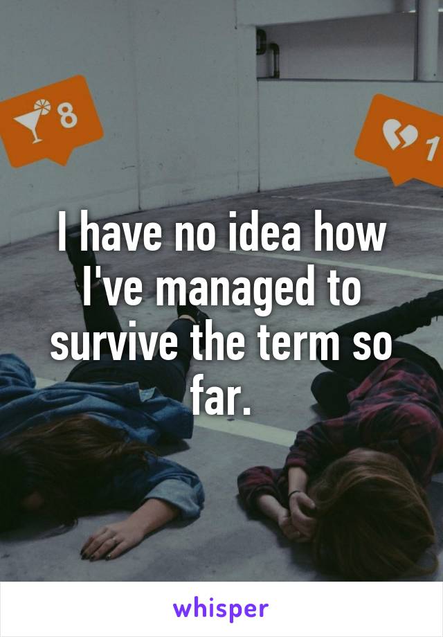 I have no idea how I've managed to survive the term so far.