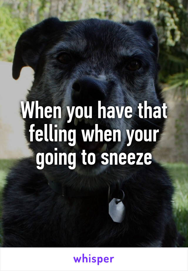 When you have that felling when your going to sneeze