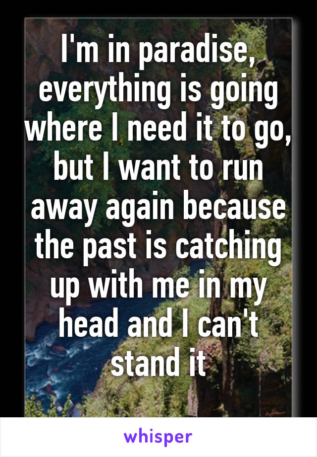 I'm in paradise, everything is going where I need it to go, but I want to run away again because the past is catching up with me in my head and I can't stand it
