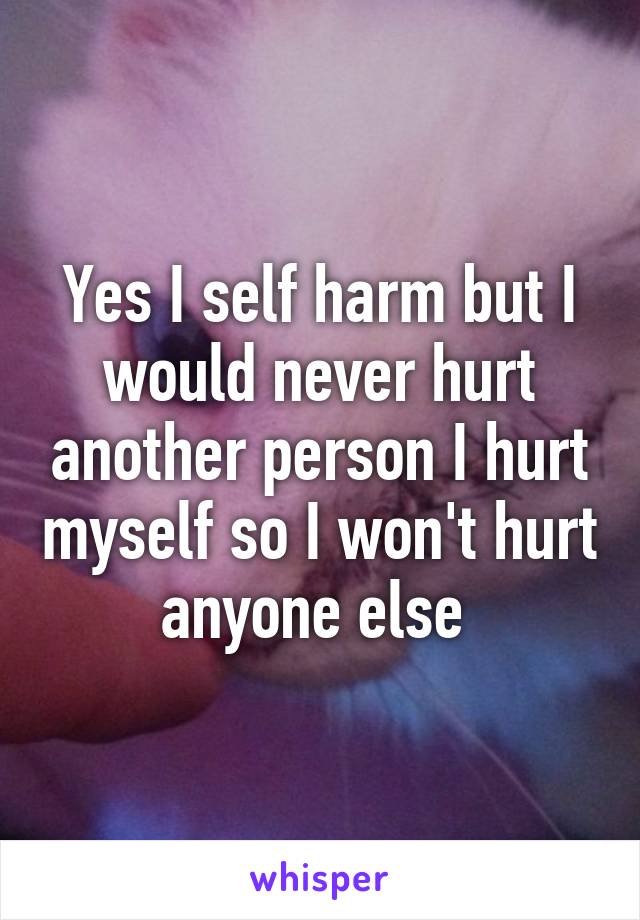 Yes I self harm but I would never hurt another person I hurt myself so I won't hurt anyone else 