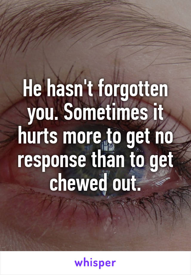 He hasn't forgotten you. Sometimes it hurts more to get no response than to get chewed out.