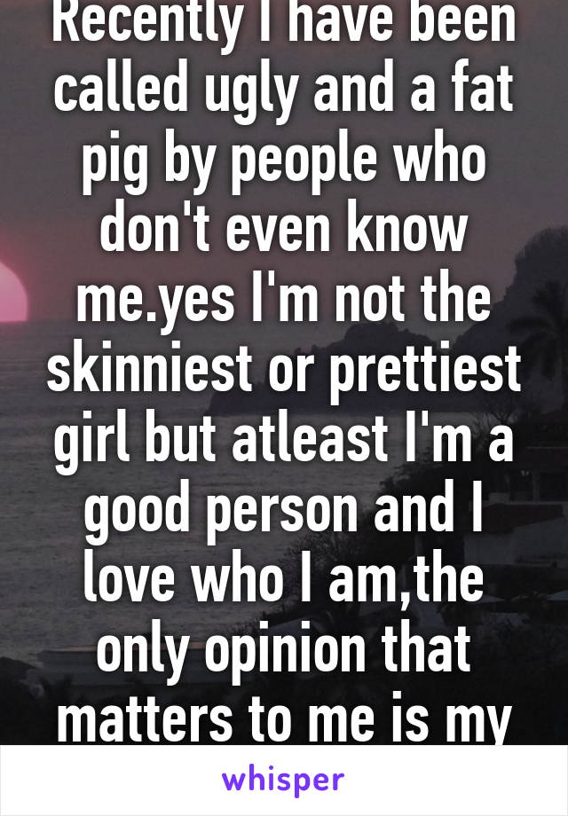 Recently I have been called ugly and a fat pig by people who don't even know me.yes I'm not the skinniest or prettiest girl but atleast I'm a good person and I love who I am,the only opinion that matters to me is my own