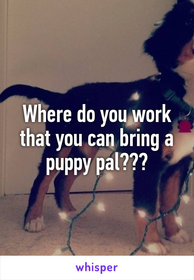 Where do you work that you can bring a puppy pal???