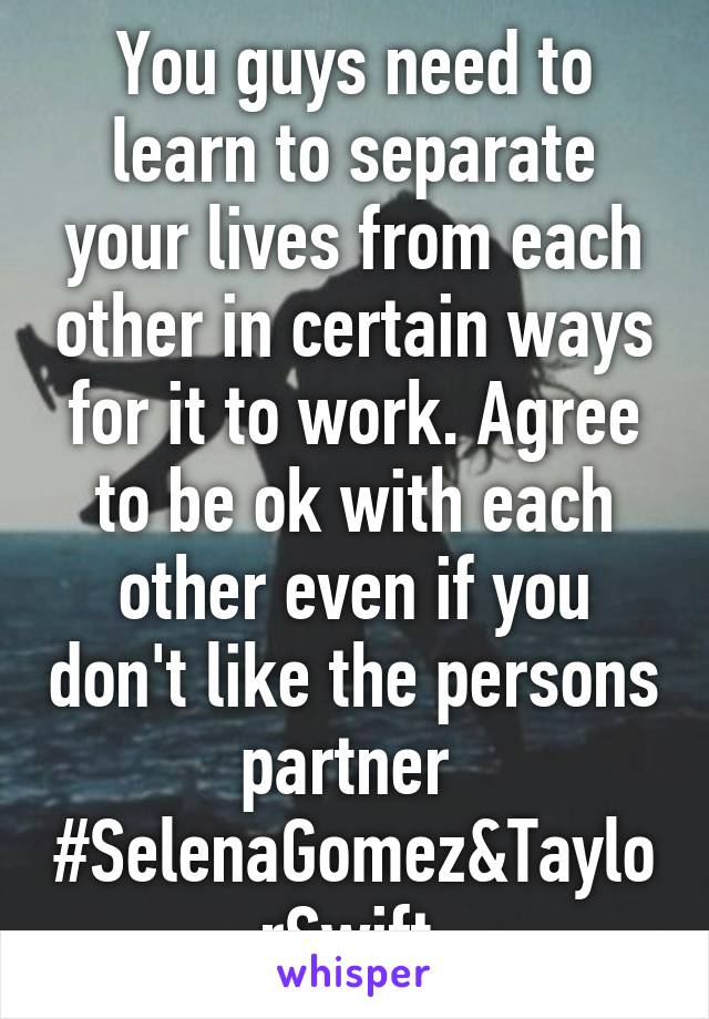 You guys need to learn to separate your lives from each other in certain ways for it to work. Agree to be ok with each other even if you don't like the persons partner 
#SelenaGomez&TaylorSwift 
