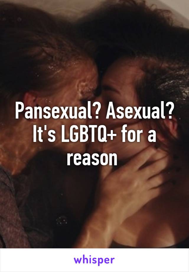 Pansexual? Asexual? It's LGBTQ+ for a reason 