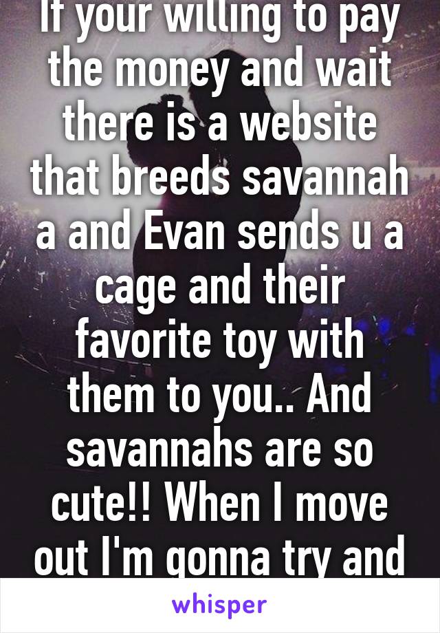 If your willing to pay the money and wait there is a website that breeds savannah a and Evan sends u a cage and their favorite toy with them to you.. And savannahs are so cute!! When I move out I'm gonna try and buy one