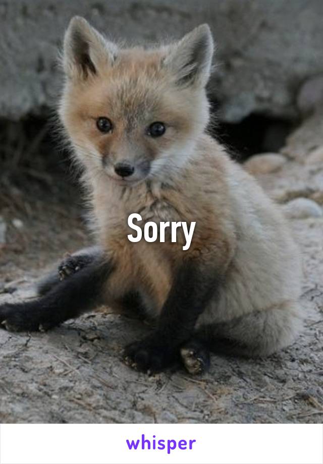 Sorry